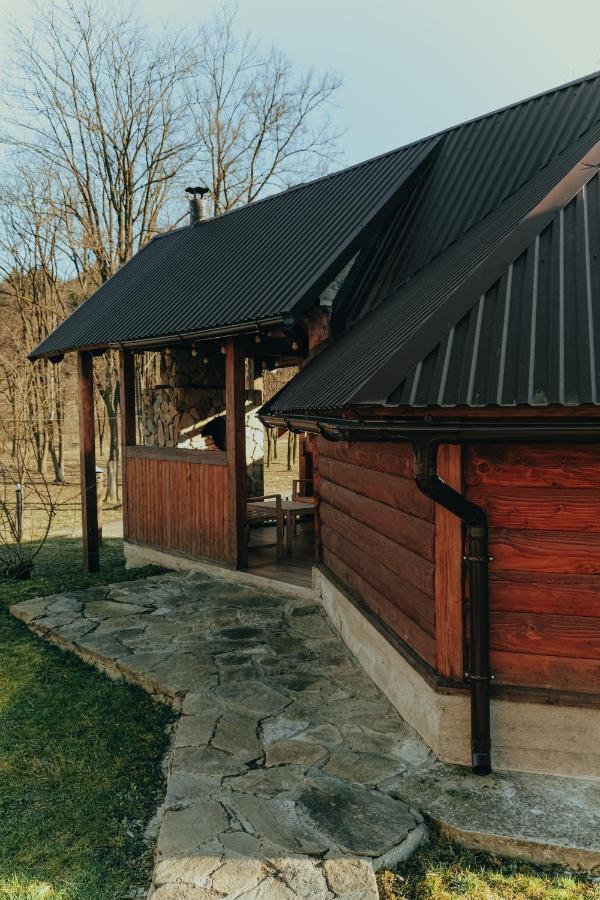 Vigora Apartment Verkhovyna Exterior photo